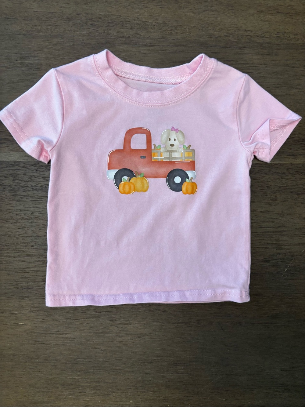 Pink Short Sleeve Tee with Truck & Pumpkin Graphic